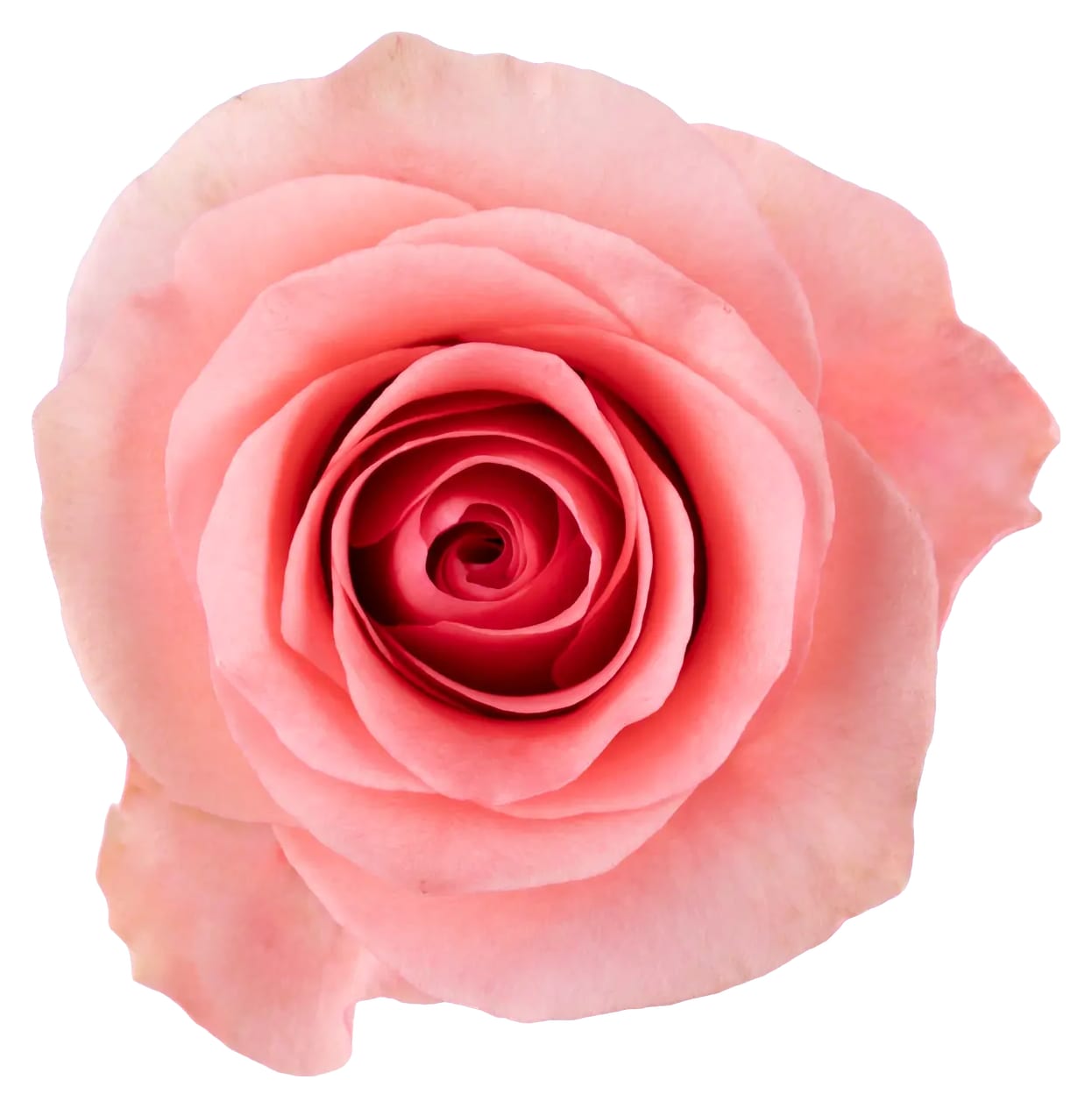 Barbiecore