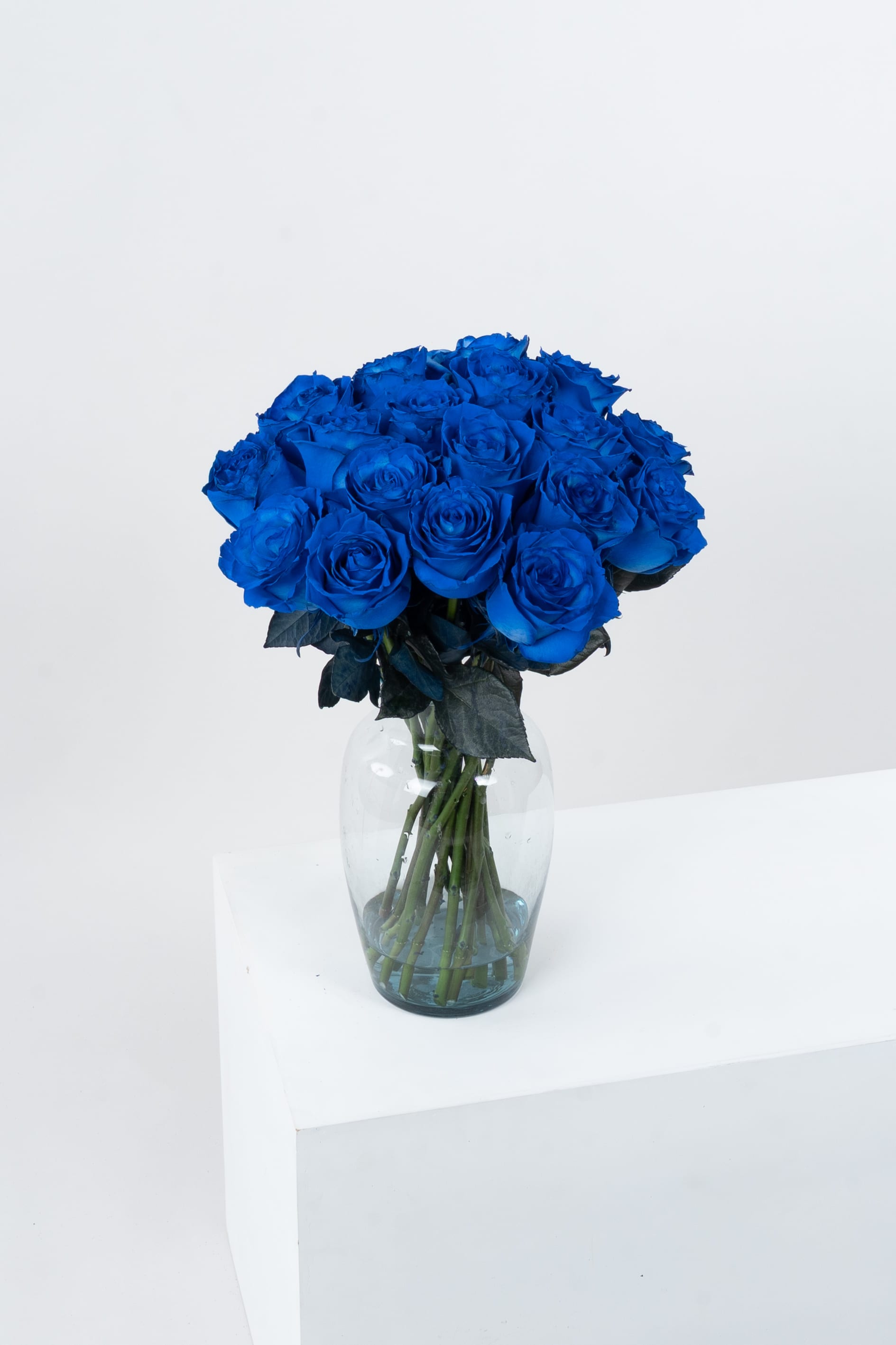 Blue 2
